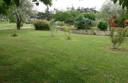 Mas Maurane - L'Olivier avec SPA privé aux portes d'ARLES - Foto 66