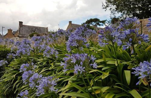 La maison aux Hortensias, 1km de la plage, proche du sillon de Talbert - Foto 22