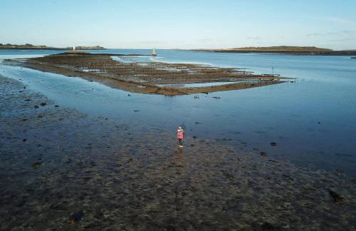 ILE STAGADON - Appartement de luxe magnifique vue mer - Foto 38