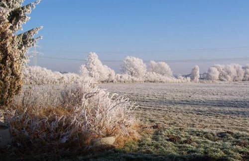 Hof Rosenstein - Photo 22