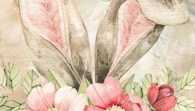 The Cwtch in Maesteg - Foto 3