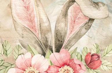 The Cwtch in Maesteg - Foto 3