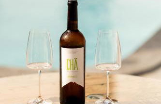 Countryside house with a pool and fireplace - Photo 18