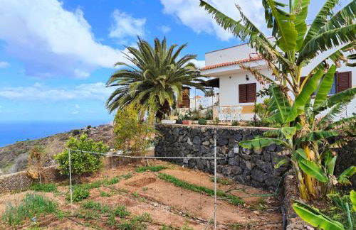 The Lemon Factory - Foto 1