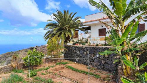 The Lemon Factory - Foto 1