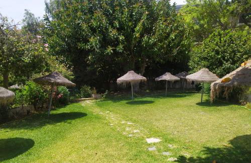 Acuario Benalmádena - Foto 28