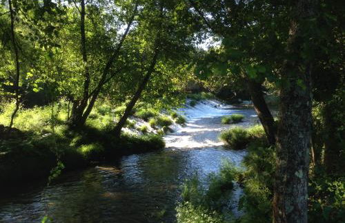 Casa do Avô - Foto 49