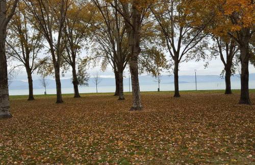 Bellavista la tua romantica vacanza sul Trasimeno - Foto 49