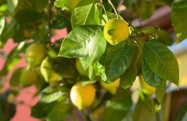 Wonderful house near Barcelona - Foto 14