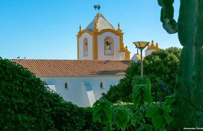 C12 - Sunshine Luz House by Dreamalgarve - Photo 45