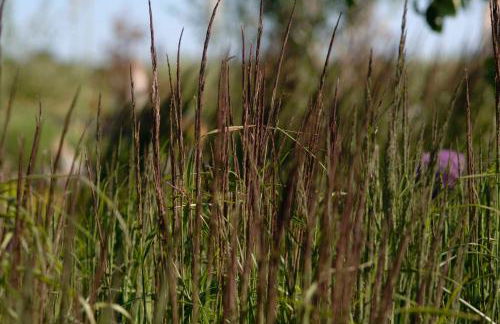 Ferienwohnungen im Fischerdorf und - Foto 13