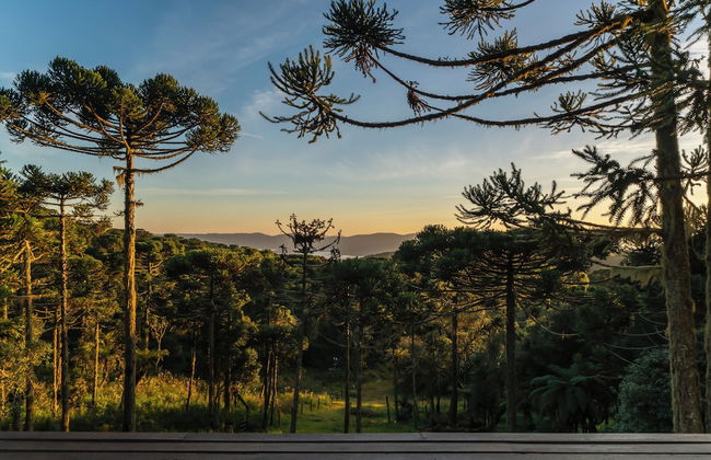 Bulawayo Lodge - Foto 58