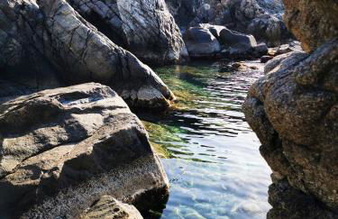 La Terrazza di Rovaglioso - Photo 74