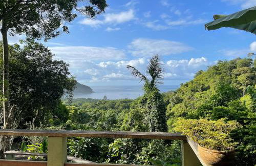 Vista espetacular, no meio da mata, com conforto - Foto 1