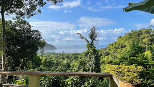 Vista espetacular, no meio da mata, com conforto - Foto 1