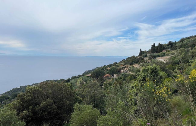 Wildsunset - Villa Cala Moresca - Photo 13