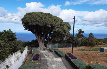 Casa Papaya 1, La Palma - Foto 27