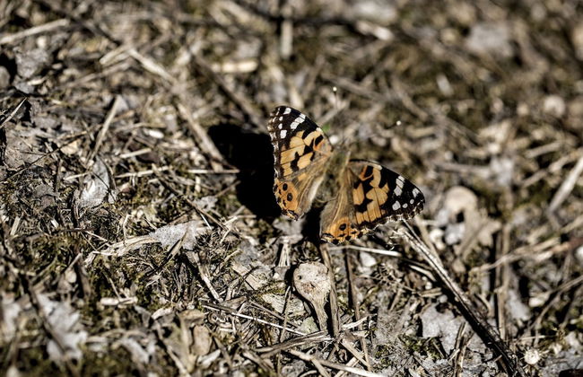 Serene Apartment in Ascoli Piceno with Hot Tub - Foto 22