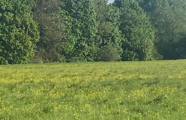 Glen Erin Hut - Foto 13