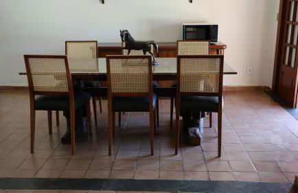 Haras Santa Amalia - Nova União MG - Foto 33