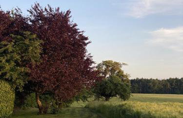 Ferienhaus am stillen Hain - Foto 14