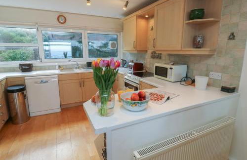 Snowy Owl View at The Breakwater - Photo 9