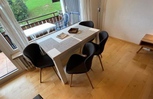 Haus am Sonnenberg, Todtnauberg, Ferienwohnung 204, direkt am Skilift-Skipiste, Nähe Feldberg - Foto 9