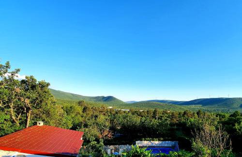 Apartman Gizdavac - Photo 9