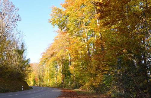 Apartment No. 121 - Foto 23