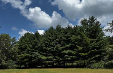 Rose Porch, Historic home on acre lot 25 min from Nashville - Photo 25