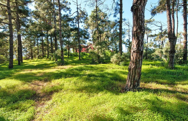 Villa Mansion Bandama With Pool in Santa Brigida - Foto 29