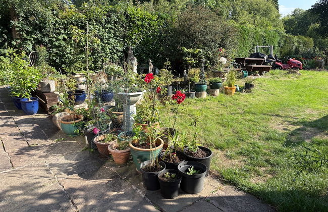 Studio/lickey Hills/near Attractions/garden/petok - Foto 23