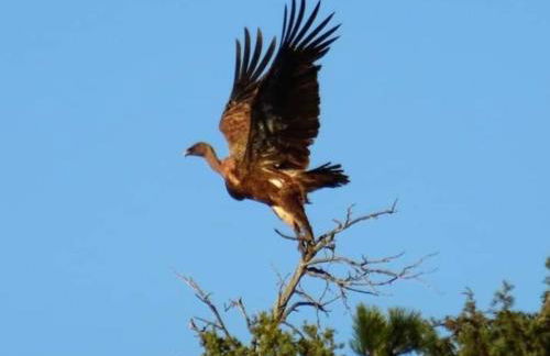 Casas Natura - Centro Graus - Foto 73