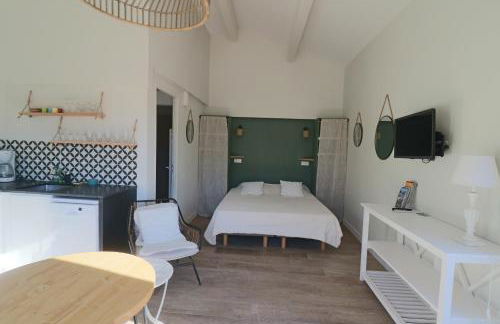 Le mas Sainte Marie - Foto 24