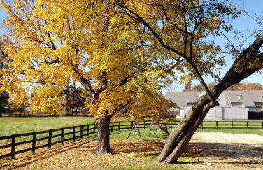 The Rest at Potomac Farms - Foto 18