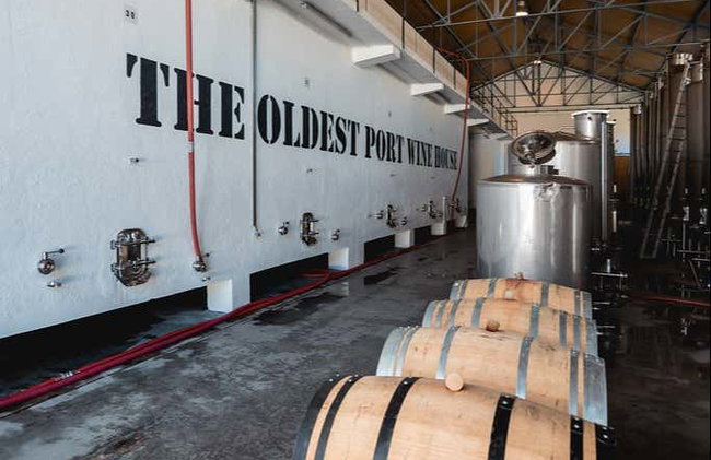 Cata de vinos en Quinta São Luiz - Foto 8