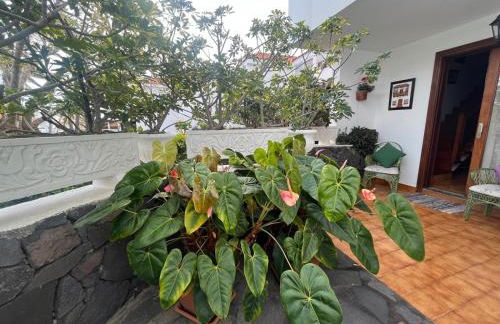 Saltflat2, be surrounded by sun, water and peace - Foto 60