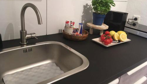 Modernes Apartment mit herrlichem Blick ins Gruene - Foto 5, stove