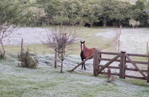 Recanto da Natureza- Chalé - Foto 31