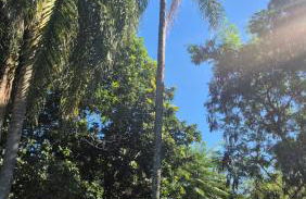 Chácara Santo Antonio - Foto 57