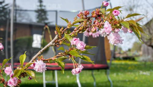 Familienapartment Vogtland - Foto 3, Garden