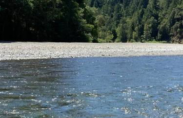 Avenue of the Giants River View Home (#1) - Foto 53