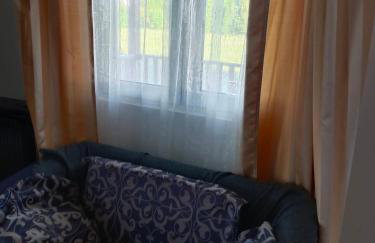 Domek nad Wkrą, okolice Sochocina, kajaki - Foto 11