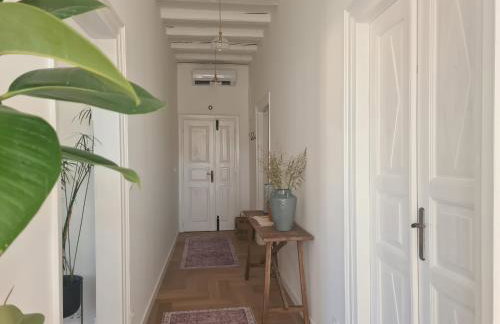 Apartment Tomazina (seaview,central, heritage) - Photo 14