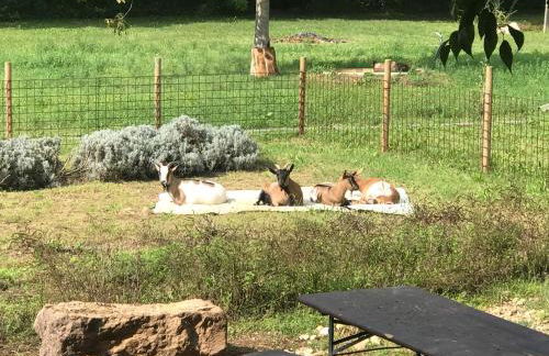 Agriturismo La Montina - Foto 34