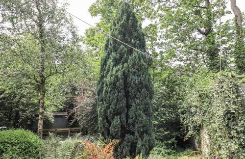 Doe Foot Cottage - Foto 29