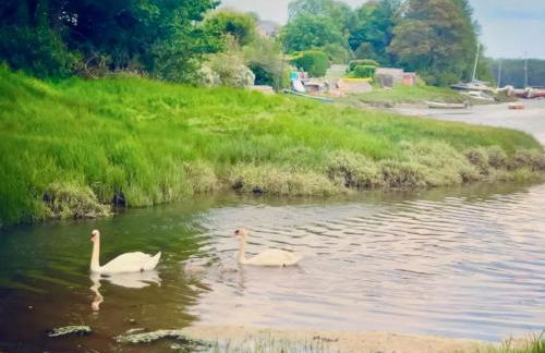 Oystercatcher Cottage - Foto 25