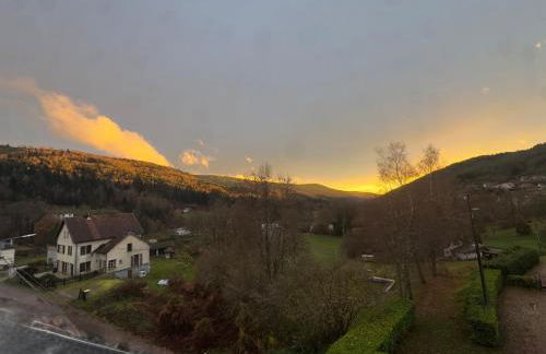 Le colibri au pied des ballons des Vosges - Foto 17