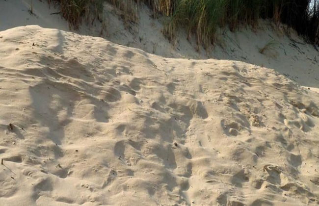 Borkum Ideal 71 A Comfortable Holiday Residence - Foto 29