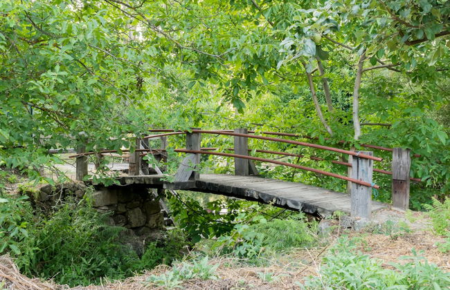 Aparthotel Quinta do Crestelo - Foto 56